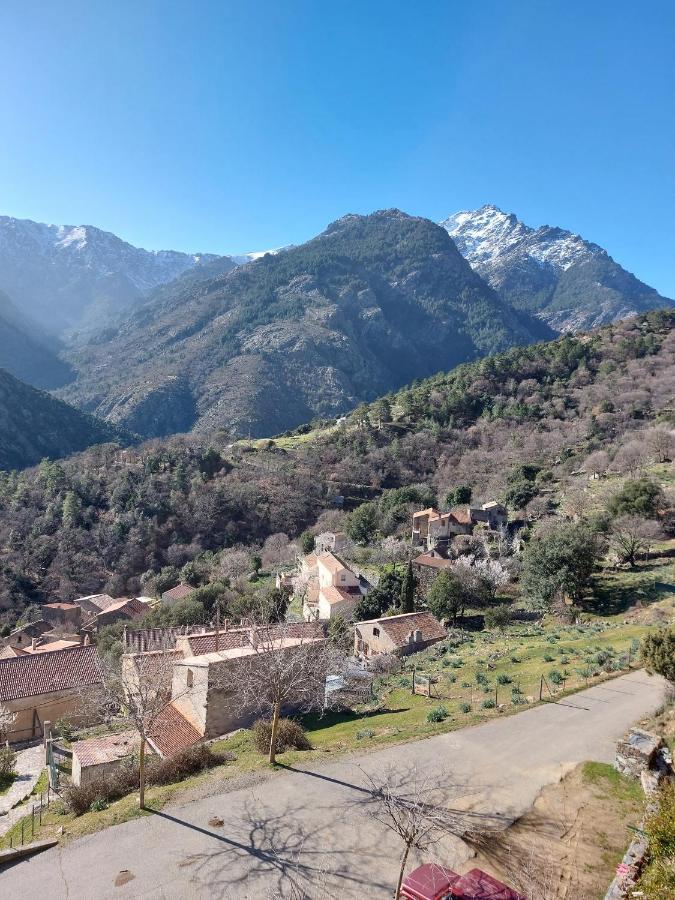 Residence E Cime Asco Locations De Studios Meubles ภายนอก รูปภาพ
