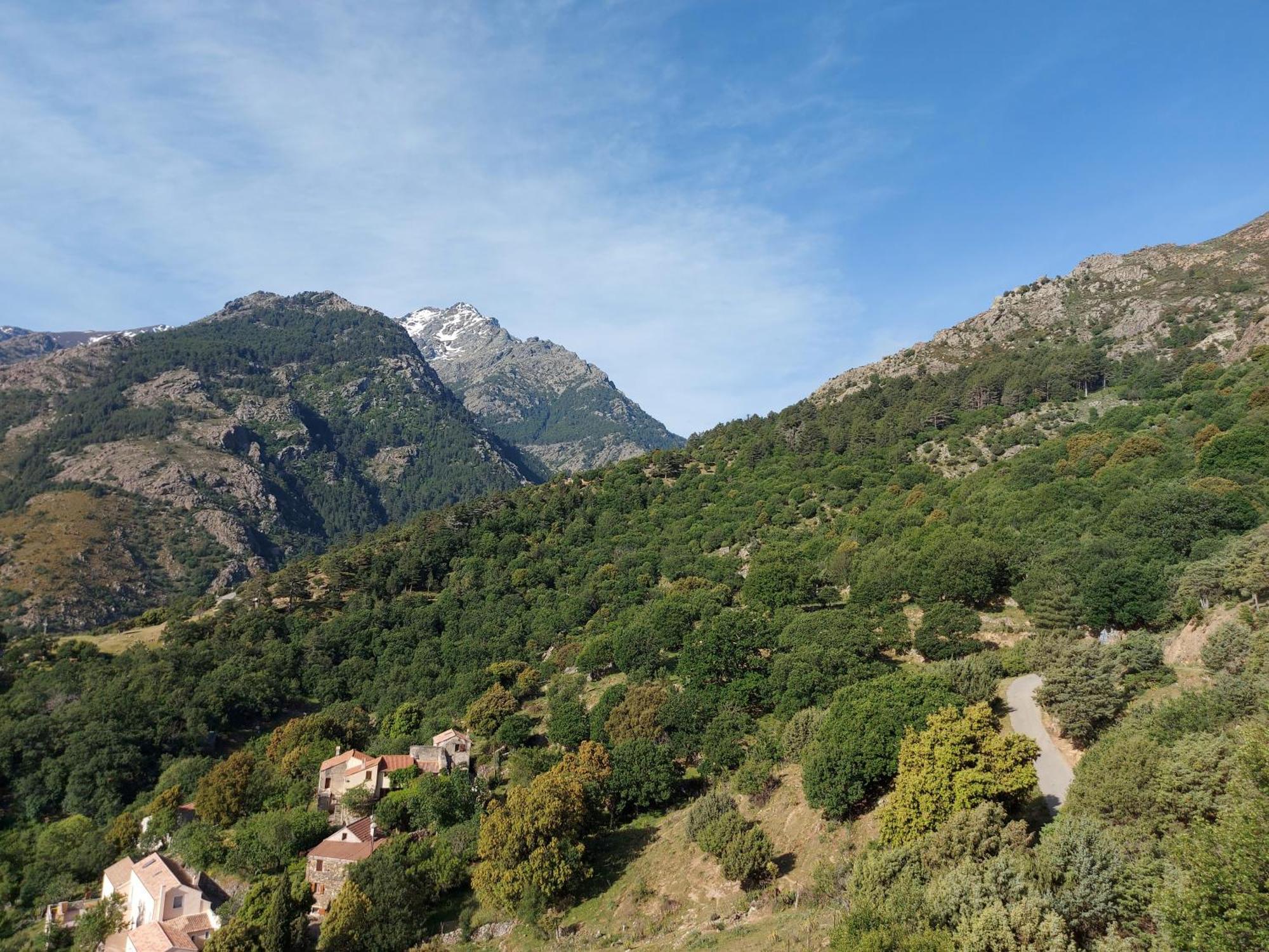 Residence E Cime Asco Locations De Studios Meubles ภายนอก รูปภาพ